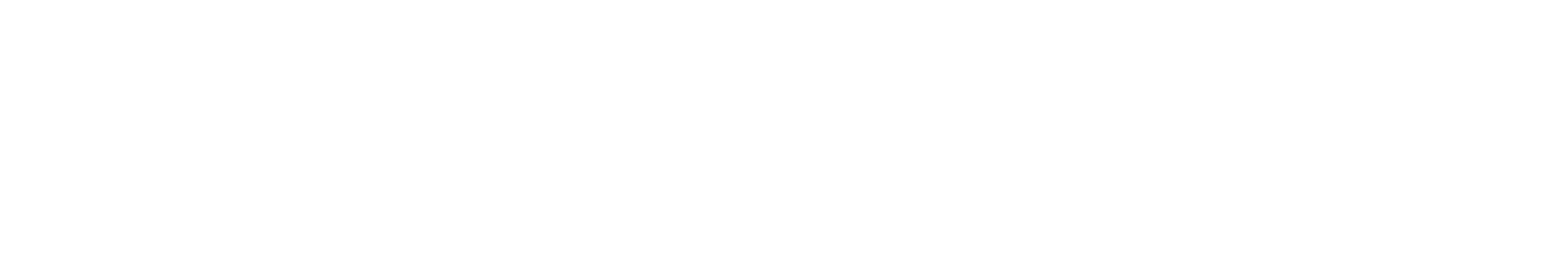 WITDATA